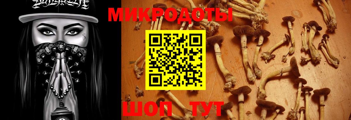 Псилоцибиновые грибы мицелий Кудымкар