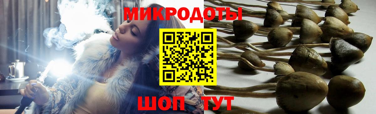 Псилоцибиновые грибы прущие грибы  даркнет сайт  Вход с VPN  Кудымкар  Галлюциногенные грибы Psilocybe 